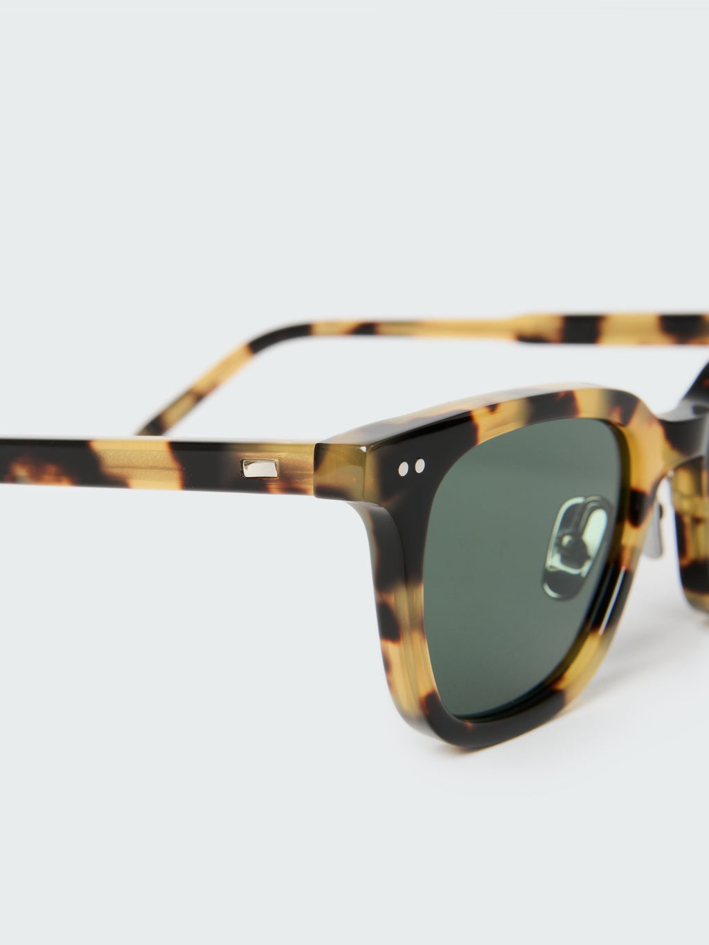 Type 1 Sunglasses in Tortoise Shell