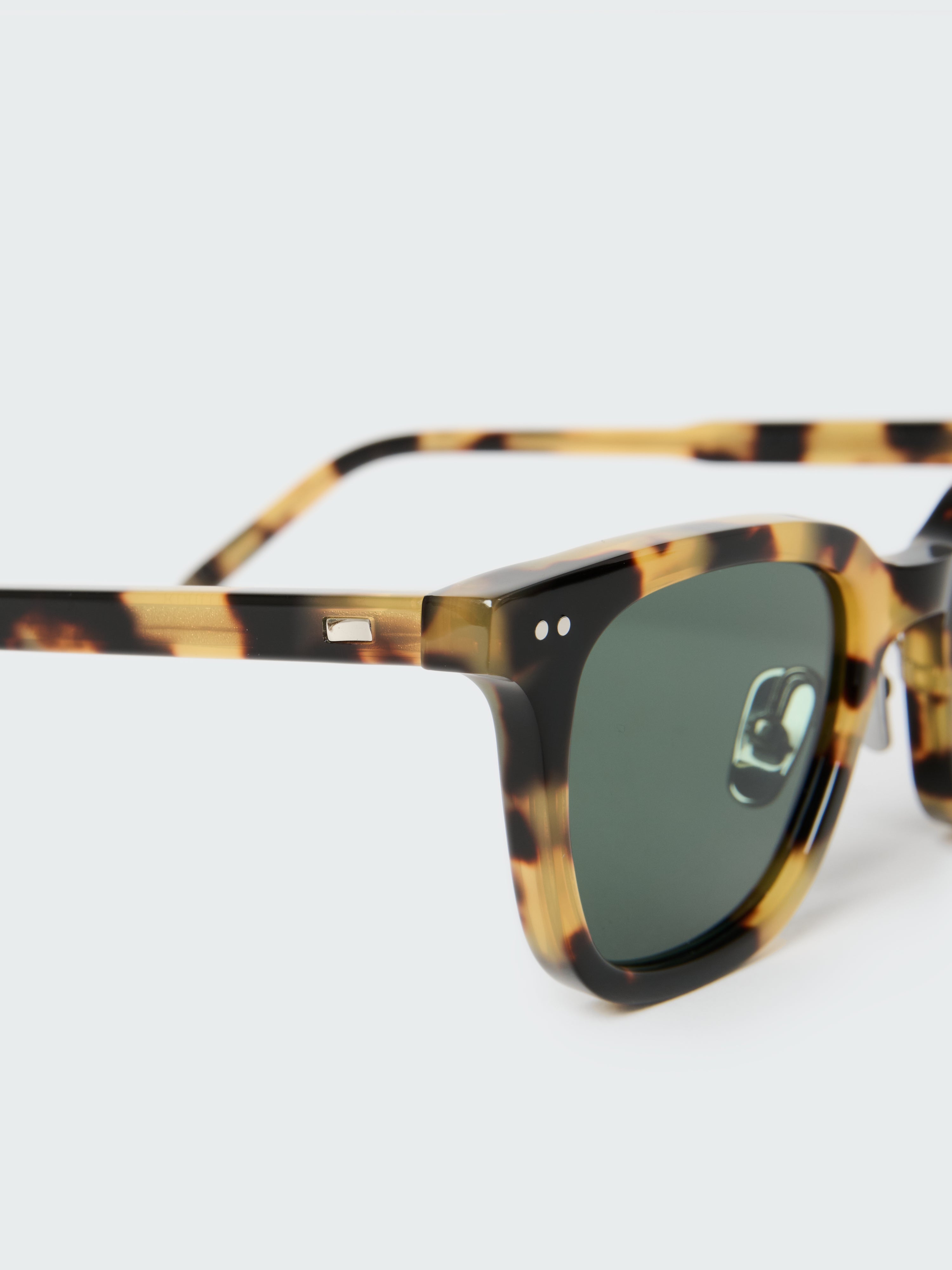 Type 1 Sunglasses in Tortoise Shell